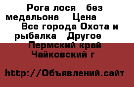 Рога лося , без медальона. › Цена ­ 15 000 - Все города Охота и рыбалка » Другое   . Пермский край,Чайковский г.